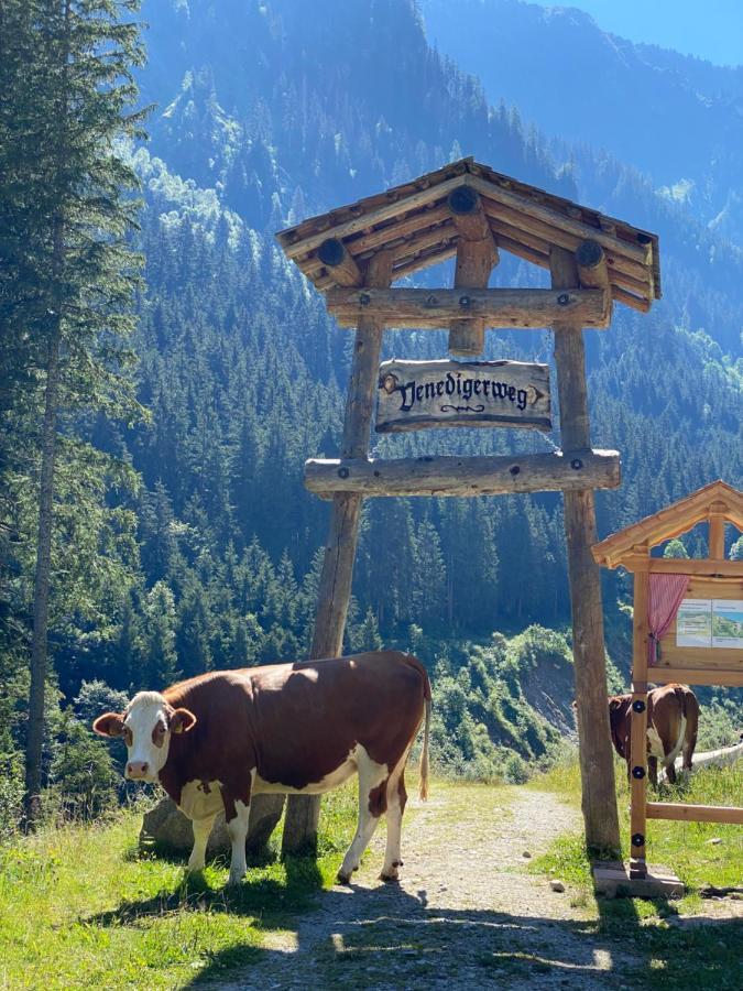 Pension Dorferwirt ブラームベルク・アム・ヴィルトコーゲル エクステリア 写真